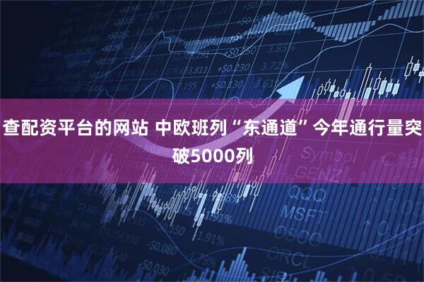 查配资平台的网站 中欧班列“东通道”今年通行量突破5000列