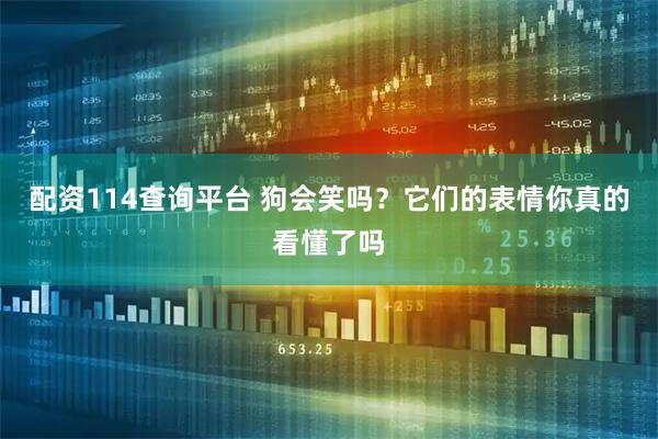 配资114查询平台 狗会笑吗？它们的表情你真的看懂了吗