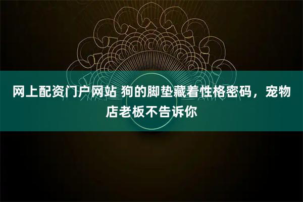 网上配资门户网站 狗的脚垫藏着性格密码，宠物店老板不告诉你